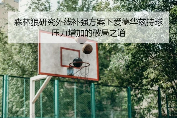 森林狼研究外线补强方案下爱德华兹持球压力增加的破局之道